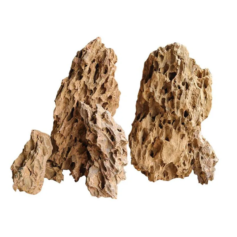 Aquarium Planted Seeds - 250g 500g 1000g Natural Aquarium Decor