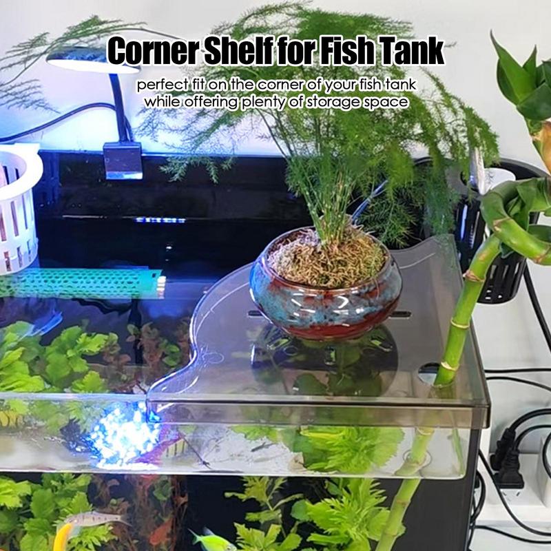 Aquarium Planted Seeds - Fish Tank Corner Shelf Coral Frag