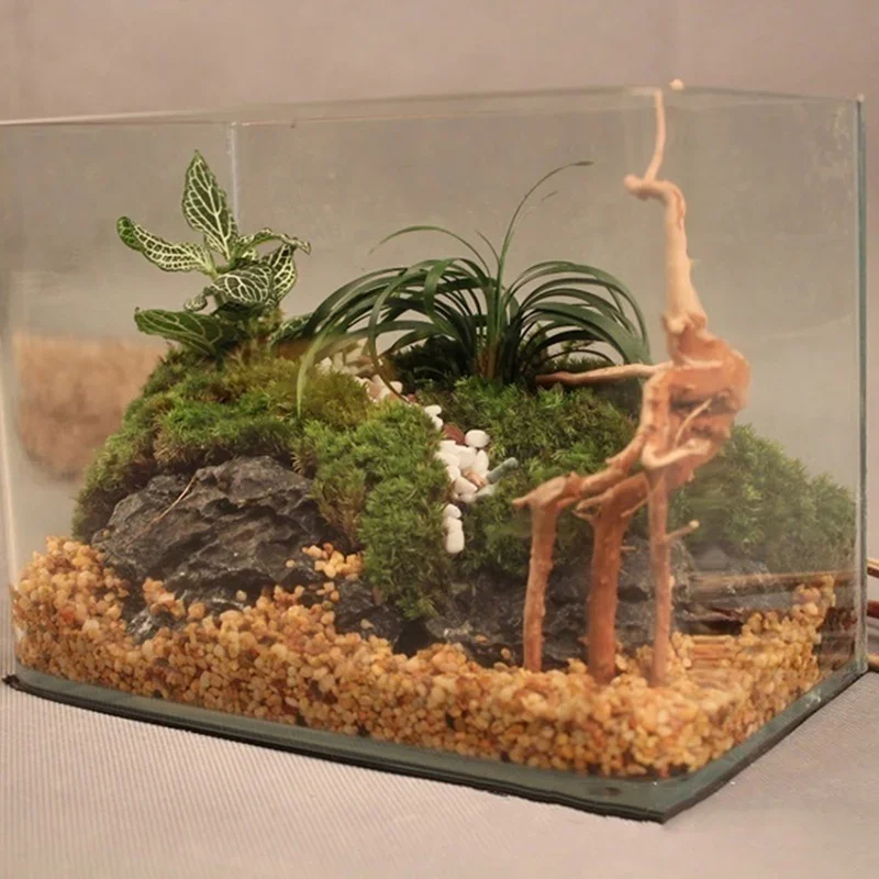 Natural Tree Trunk Driftwood A - огляд і ціна Planted Aquarium Media