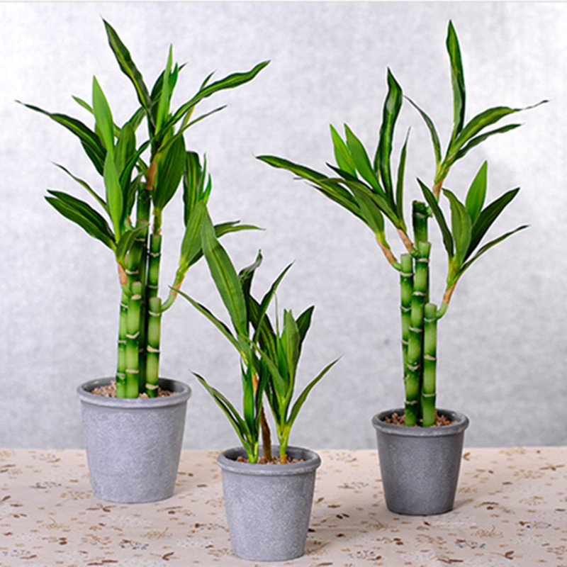 New 40cm Artificial Lucky Bamb - огляд і ціна Aquarium Plant Nursery
