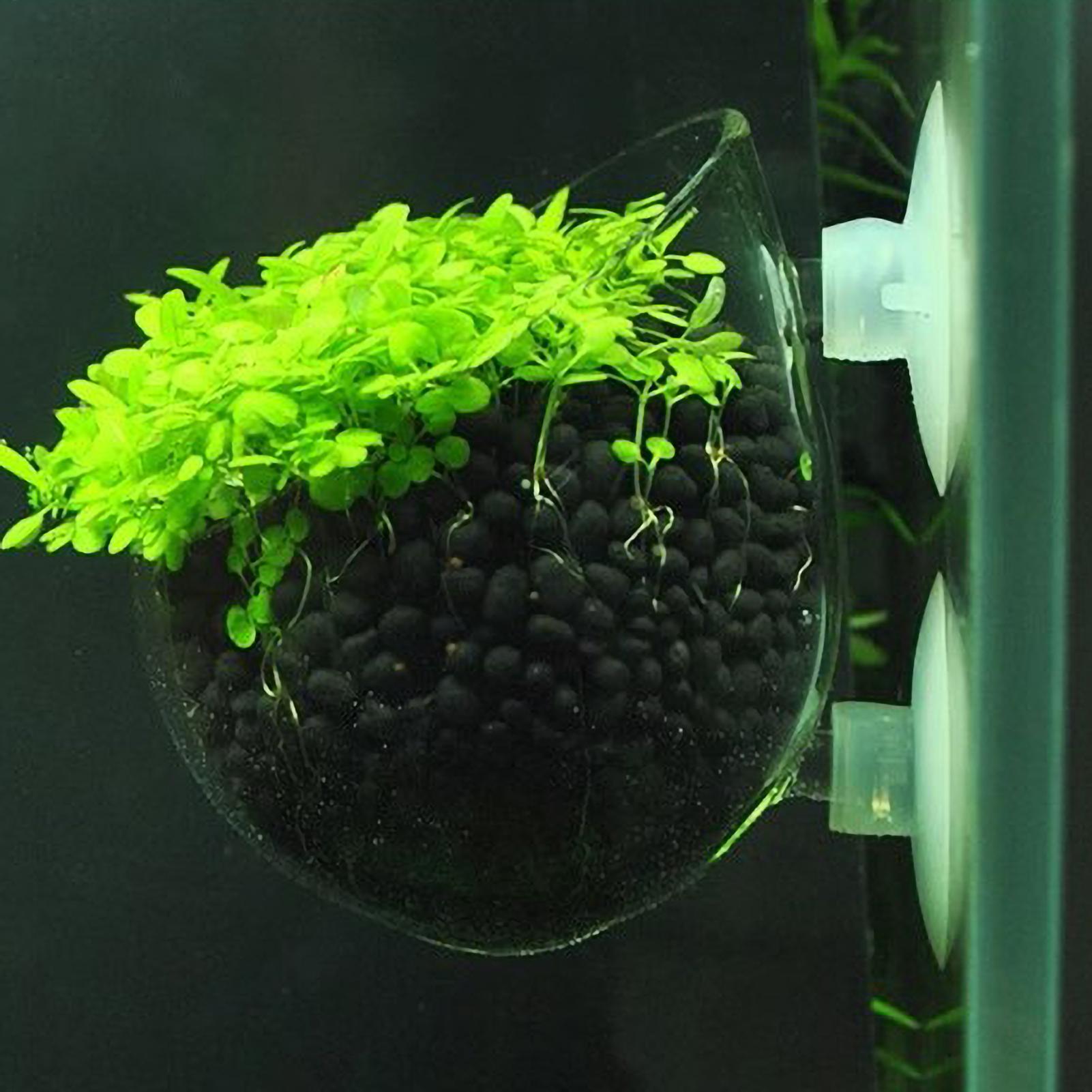 Aquarium Plant Holder Glass Aq - огляд і ціна Planted Aquarium Media