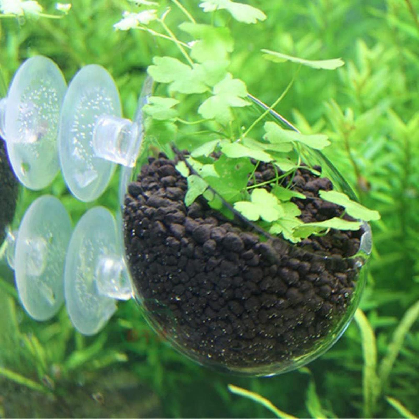 Aquarium Plant Holder Glass Aq - огляд і ціна Planted Aquarium Media