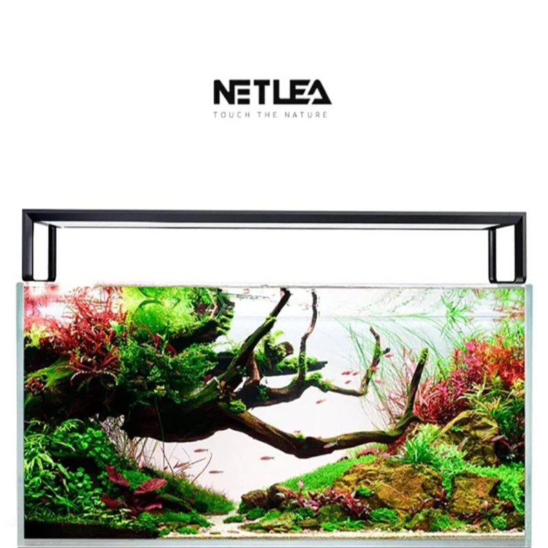 Netlea AT5S V4 Smart Wifi APP  - огляд і ціна Planted Aquarium Aquascape