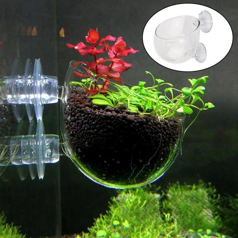 Acrylic Aquatic Plant Cup Aqua - огляд і ціна Aquarium Planted Seeds
