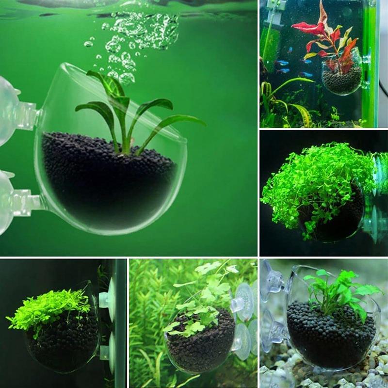 Acrylic Aquatic Plant Cup Aqua - огляд і ціна Aquarium Planted Seeds