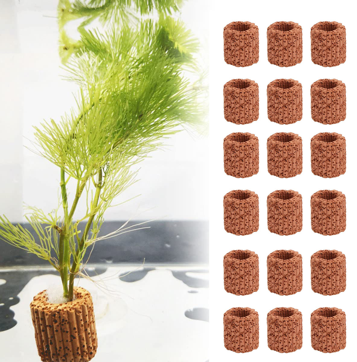 10/20Pcs Aquatic Water Plant F - огляд і ціна Aquarium Plant Rings