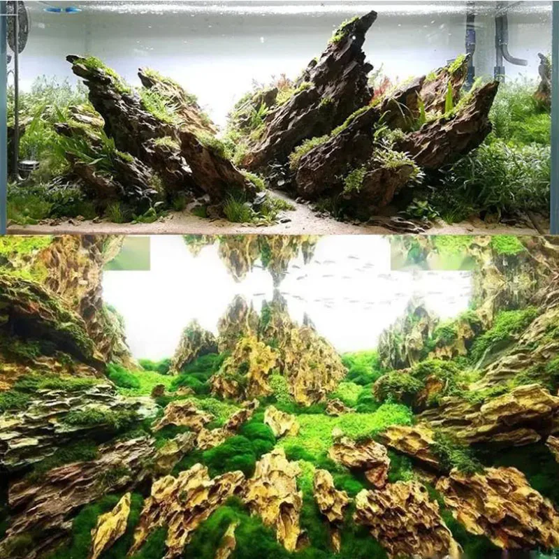 250g 500g 1000g Natural Aquari - огляд і ціна Aquarium Planted Seeds