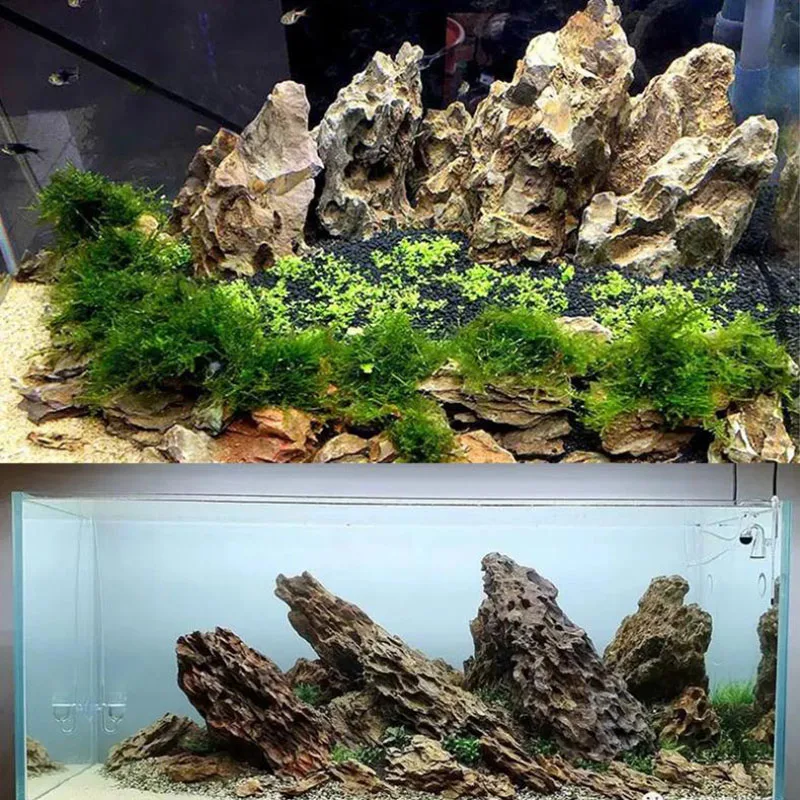 250g 500g 1000g Natural Aquari - огляд і ціна Aquarium Planted Seeds