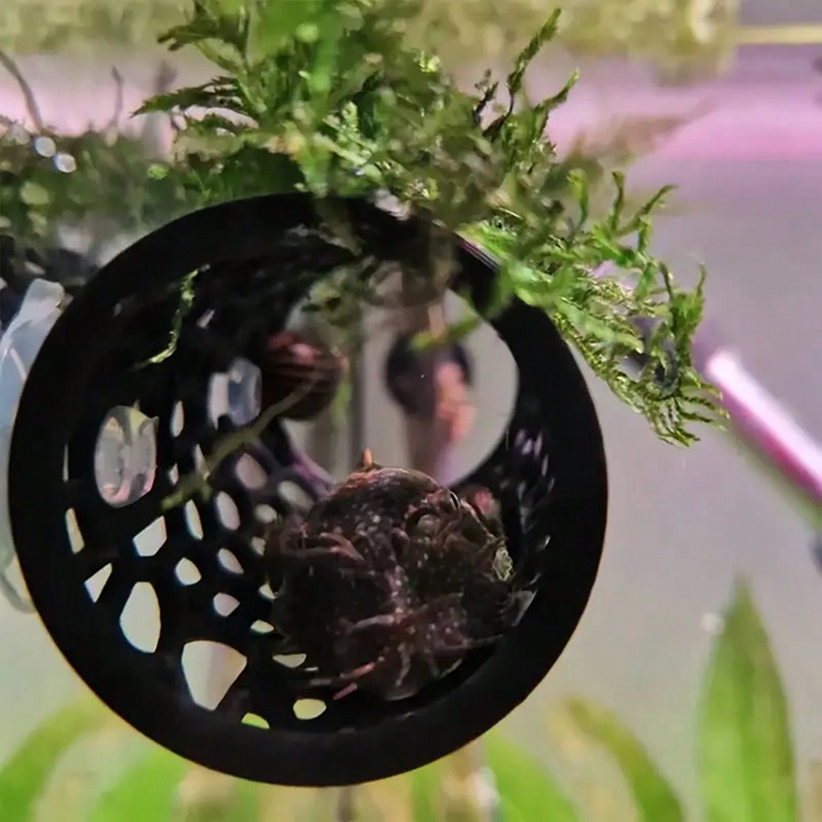 Betta Fish Hideout Hollow Tube - огляд і ціна Aquarium Plant Rings