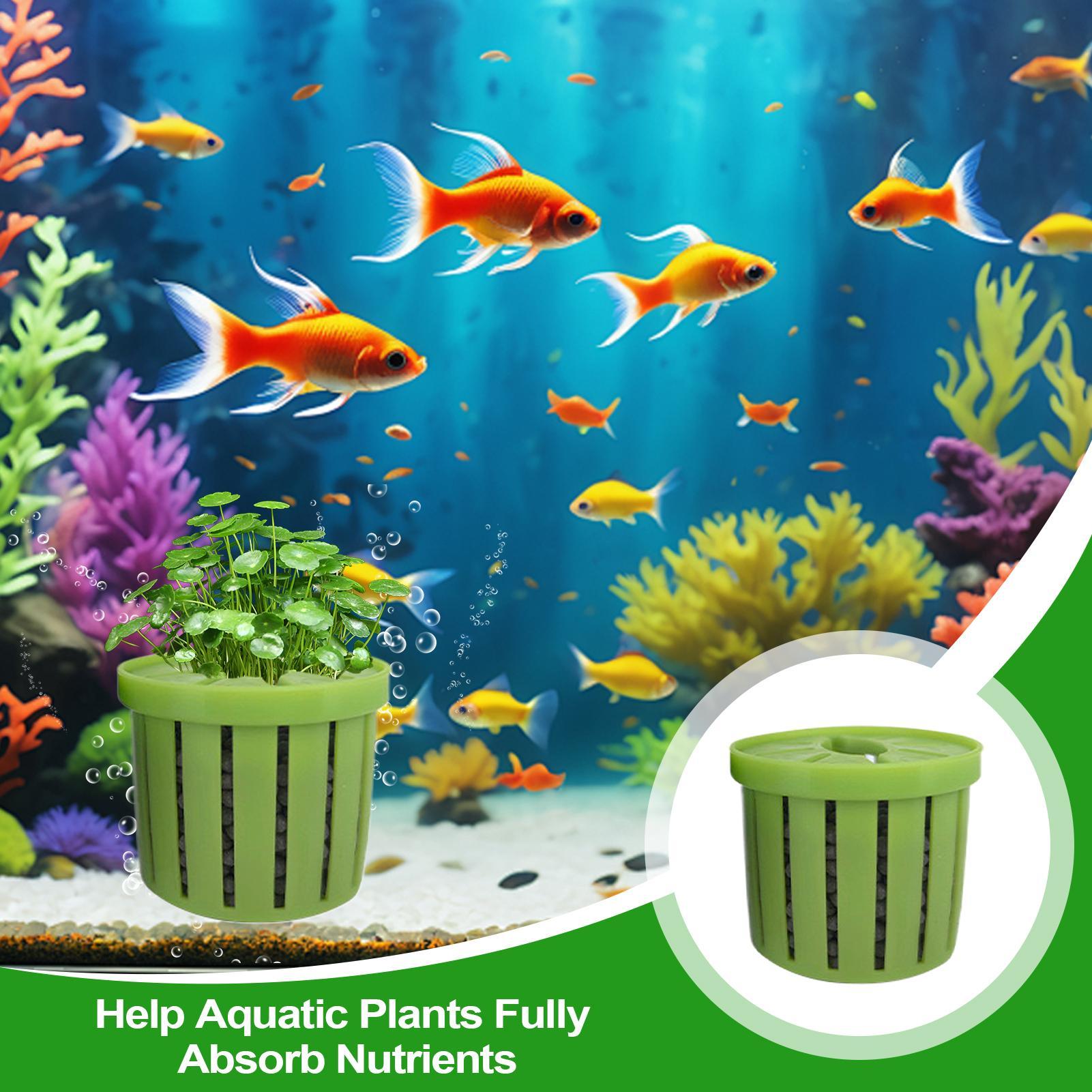 4 Pieces Aquarium Planter Pot  - огляд і ціна Aquarium Plant Rings