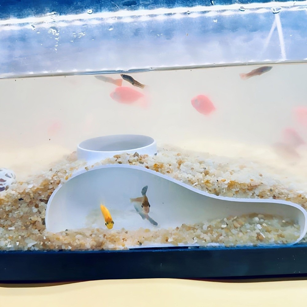 3D Printing Aquarium Tunnel Ca - огляд і ціна Aquarium Planted Seeds