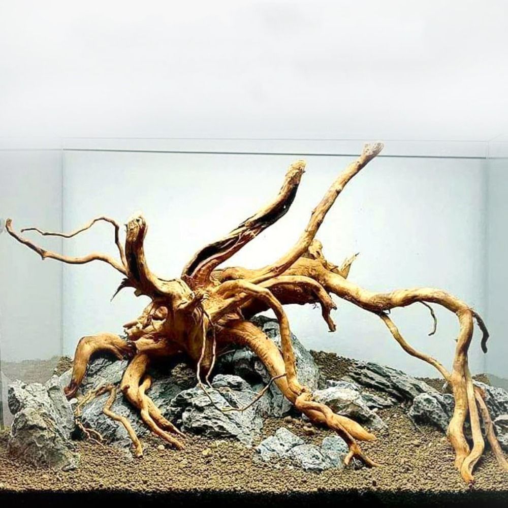Natural Tree Trunk Aquarium De - огляд і ціна Planted Aquarium Media