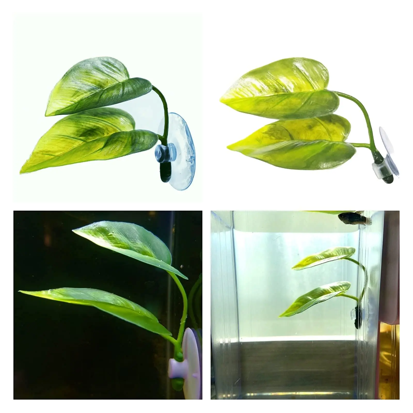 Pets Fish Tank Decor Betta Rel - огляд і ціна Aquarium Plant Rings