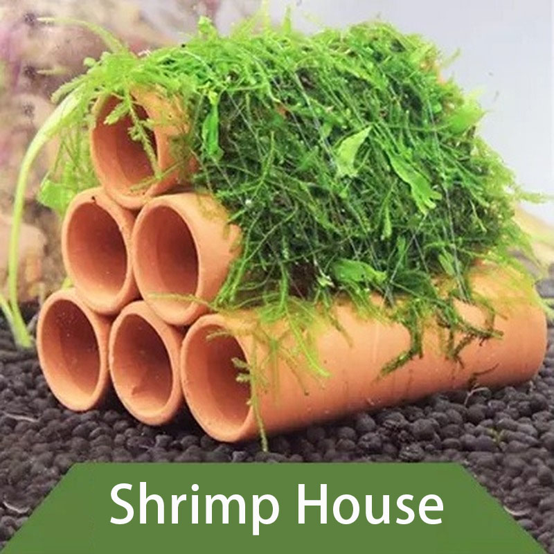 Clay Aquarium Decoration Fish  - огляд і ціна Aquarium Plant Rings