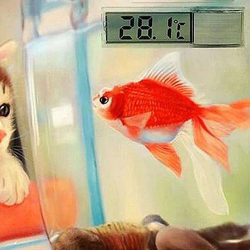 Waterproof Aquarium Thermomete - огляд і ціна Aquarium Planted Seeds