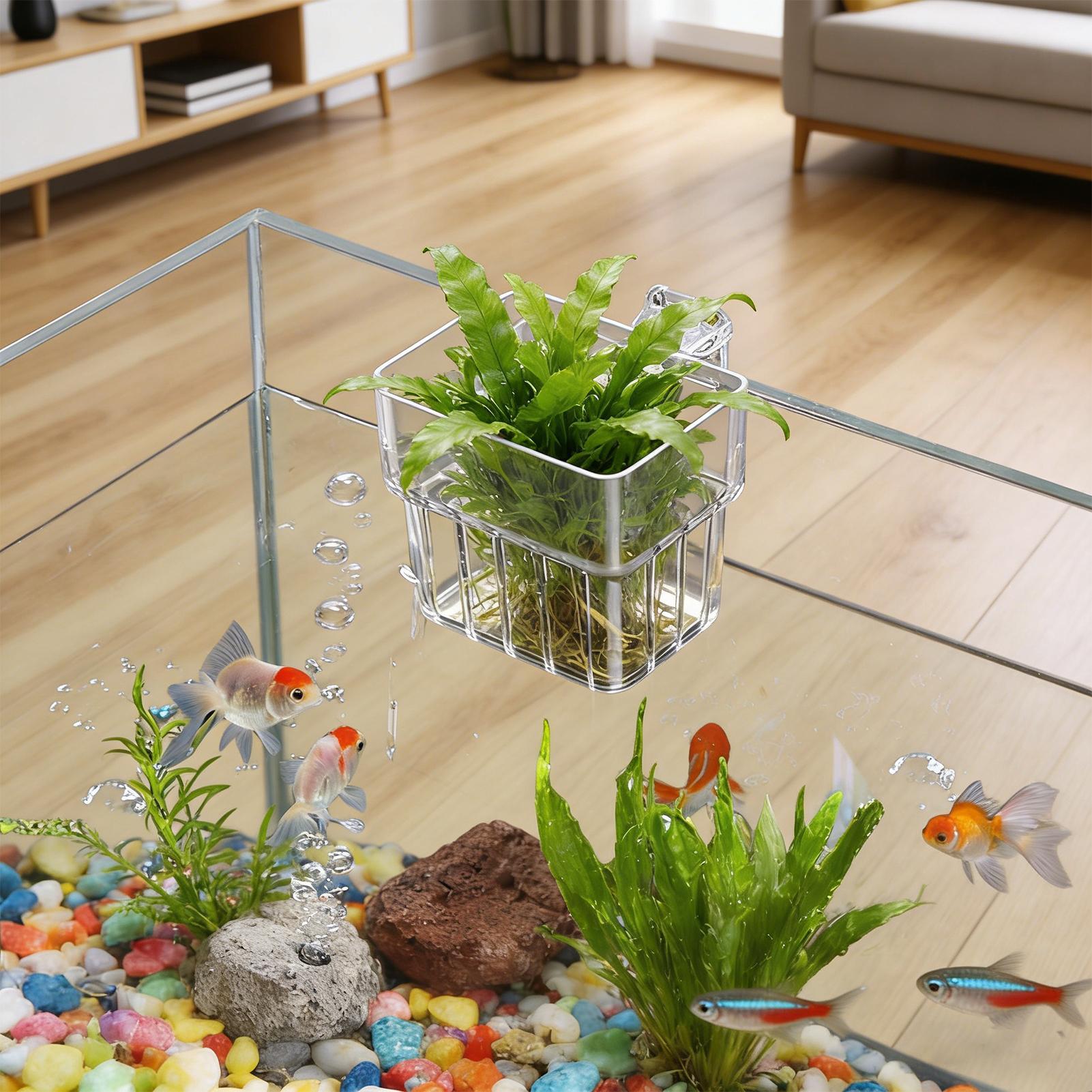 Aquarium Transparent Hanger Po - огляд і ціна Aquarium Plant Rings