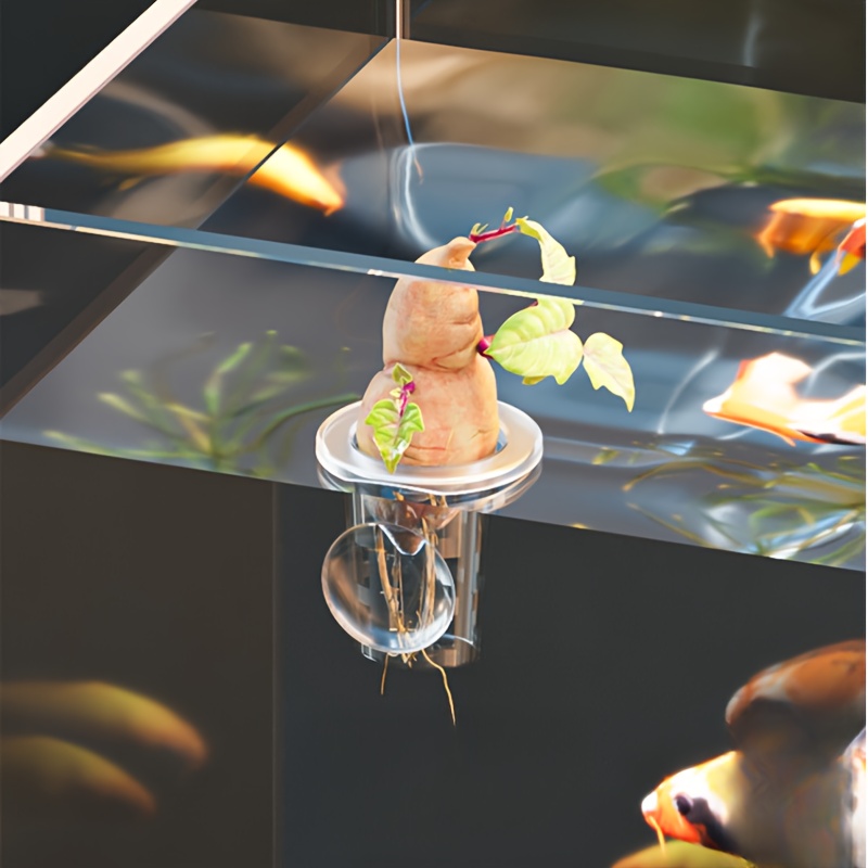 5Pcs Clear Plastic Aquarium Pl - огляд і ціна Aquarium Planted Seeds