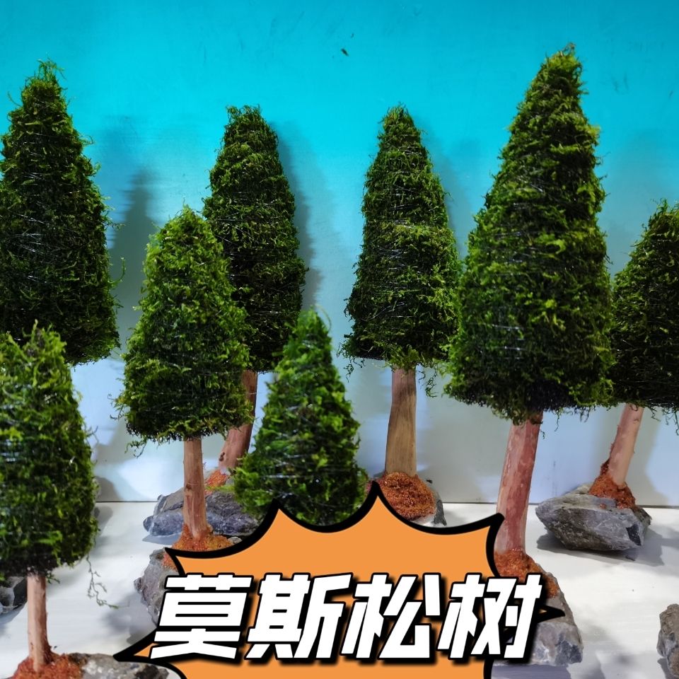 Aquarium Decoration Aquatic Pl - огляд і ціна Aquarium Planted Seeds
