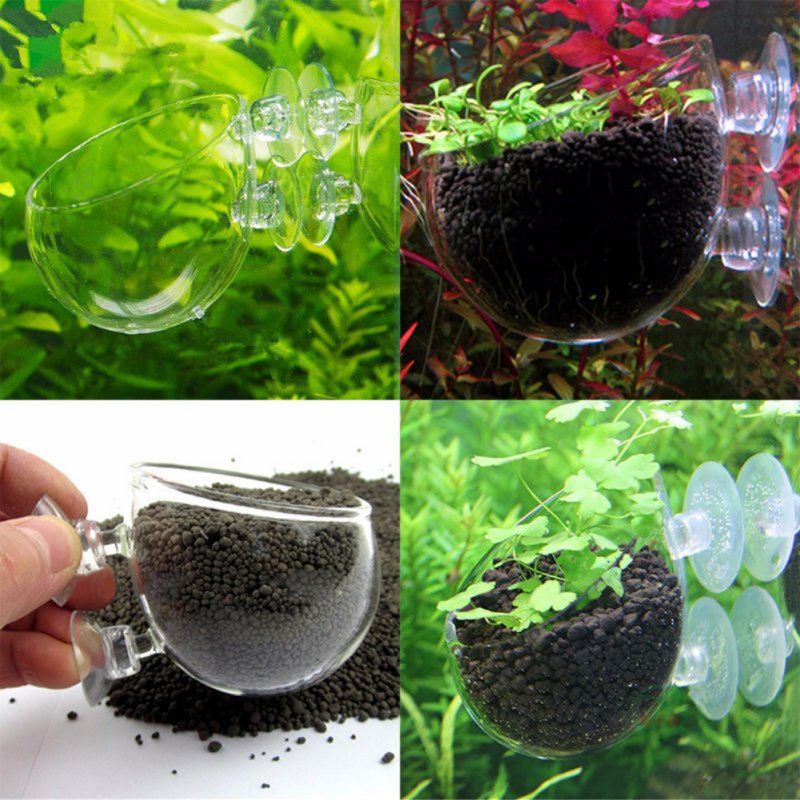 Aquarium Hanging Plant Pot Gla - огляд і ціна Aquarium Planted Seeds