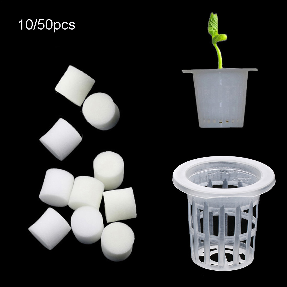 10/50pcs Durable Planting Aqua - огляд і ціна Aquarium Planted Seeds