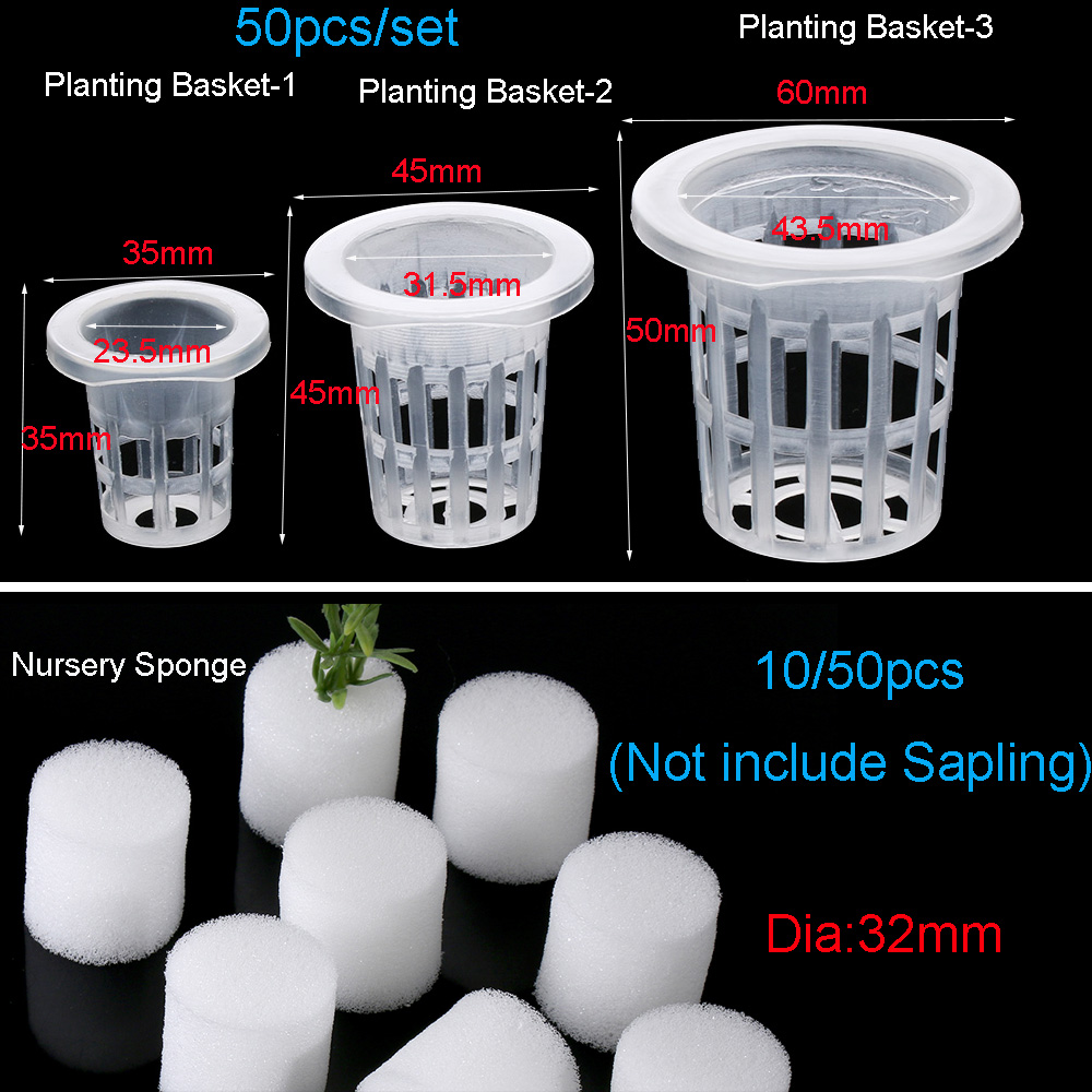 10/50pcs Durable Planting Aqua - огляд і ціна Aquarium Planted Seeds