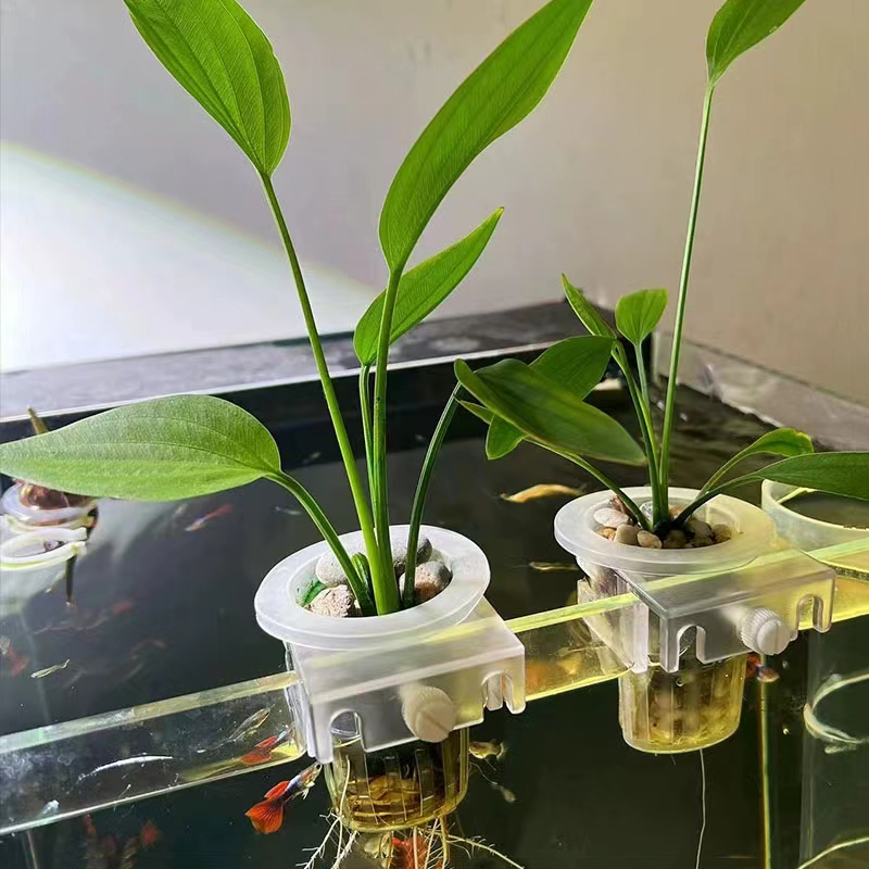 Aquarium Planting Basket Hydro - огляд і ціна Aquarium Plant Rings