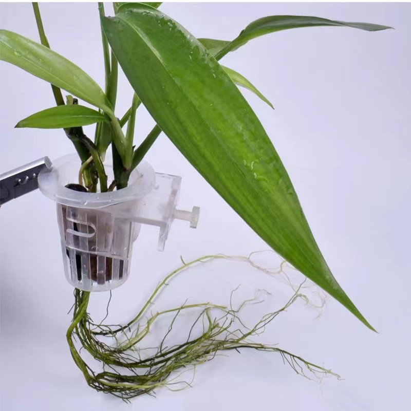 Aquarium Planting Basket Hydro - огляд і ціна Aquarium Plant Rings