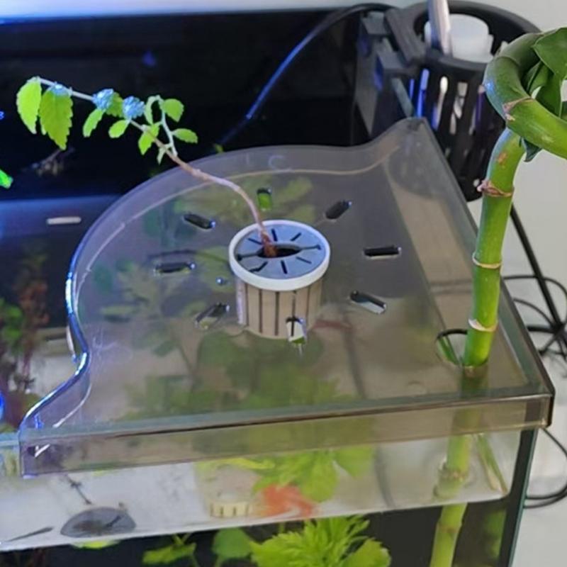 Fish Tank Corner Shelf  Coral  - огляд і ціна Aquarium Planted Seeds